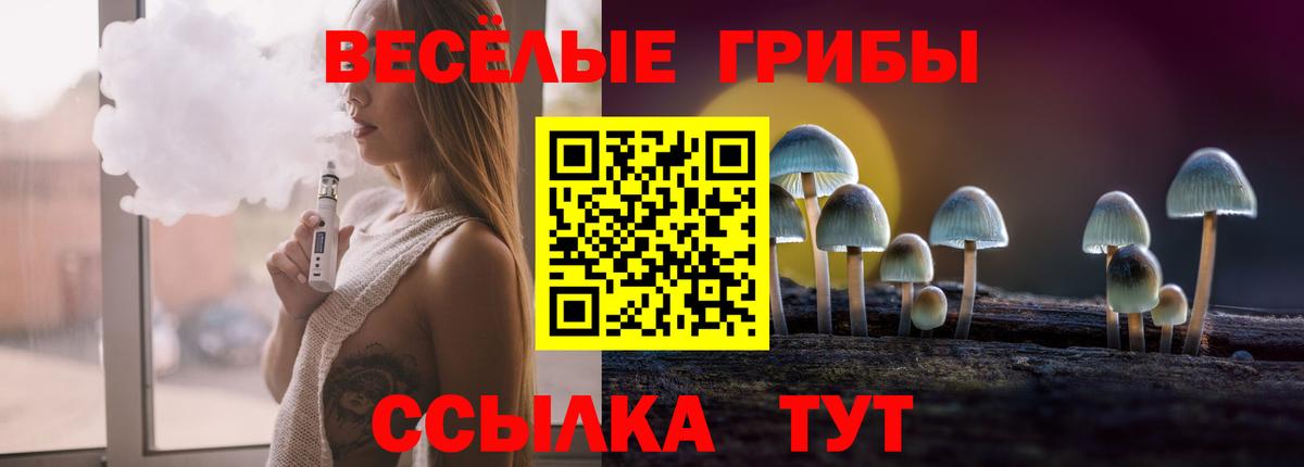 Киселёвск  Галлюциногенные грибы Magic Shrooms  где можно купить наркотик  Вход с VPN  Псилоцибиновые грибы Psilocybe 